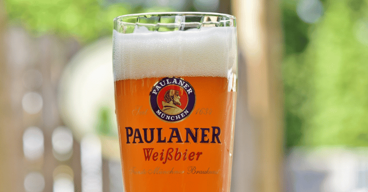 unfiltered beer - paulaner